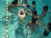 img-0071