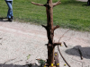 IMG_20230417_135235