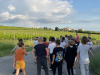 IMG_5364-Copy