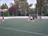 20240529_203800-Copy
